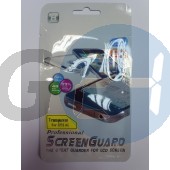 Blackberry 9300 kijelzővédő fólia-méretre szabott  E000336